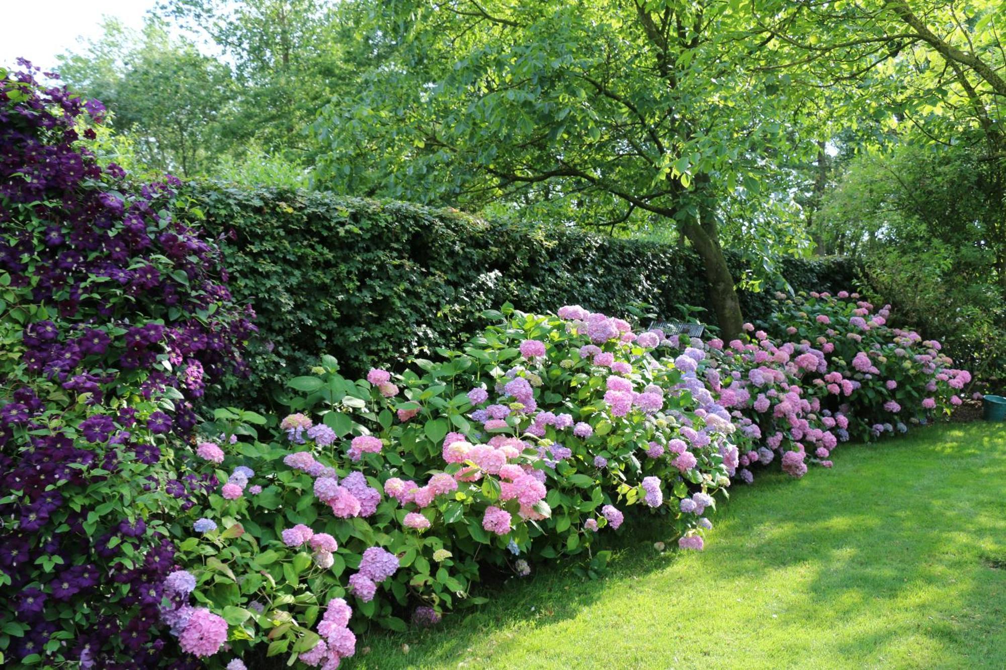 B&B Pronkenburg Brugge Ngoại thất bức ảnh