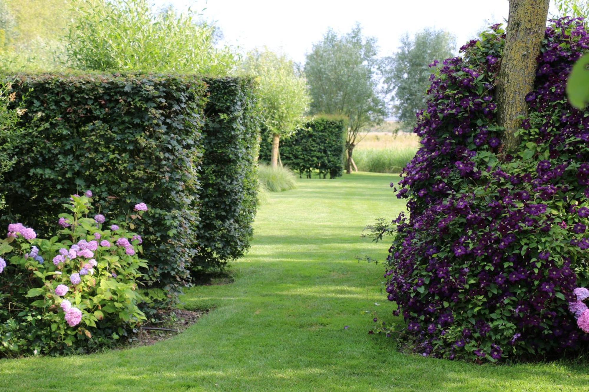 B&B Pronkenburg Brugge Ngoại thất bức ảnh