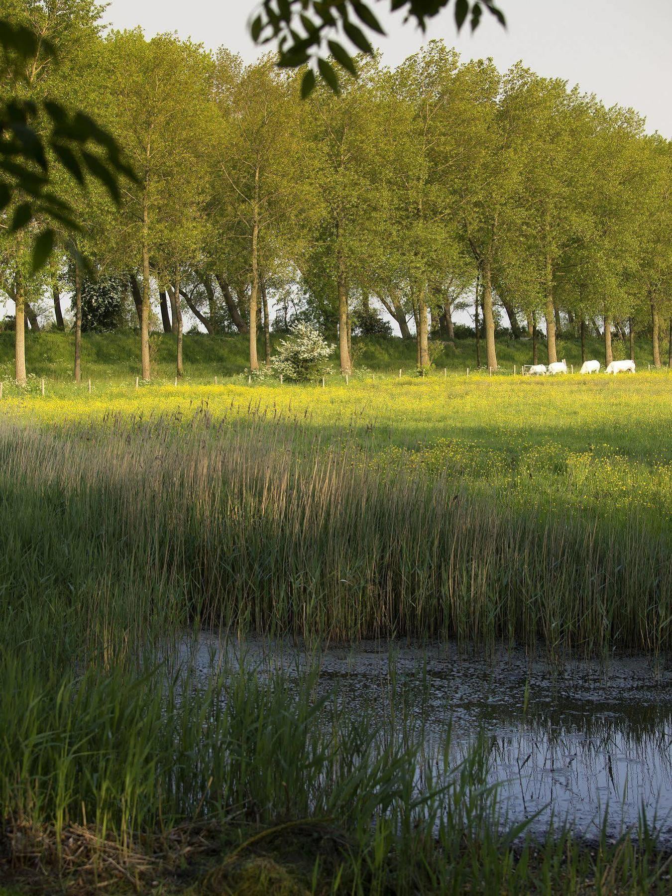 B&B Pronkenburg Brugge Ngoại thất bức ảnh